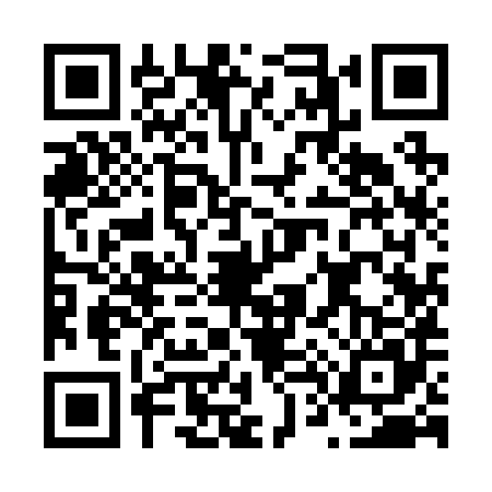 QR code for N492856