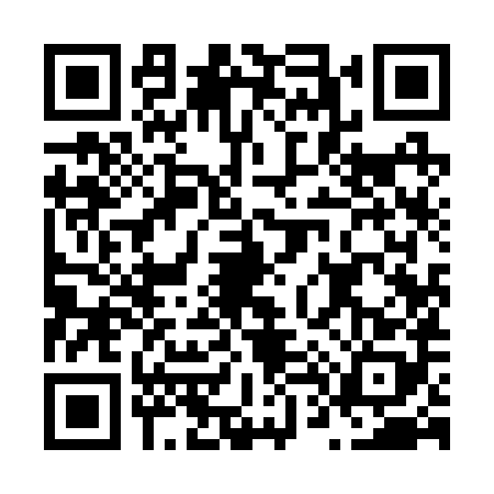 QR code for N492885