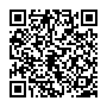 QR code for N493399