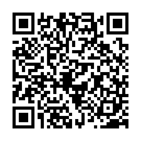 QR code for N493412
