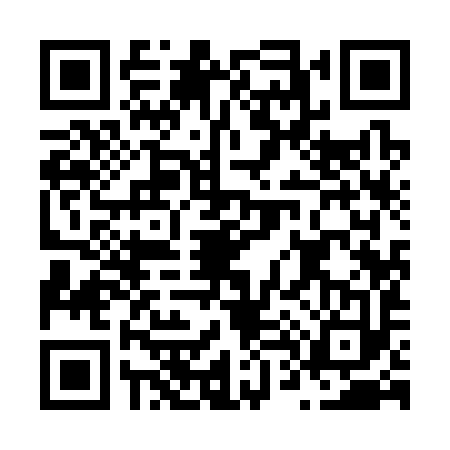 QR code for N493939