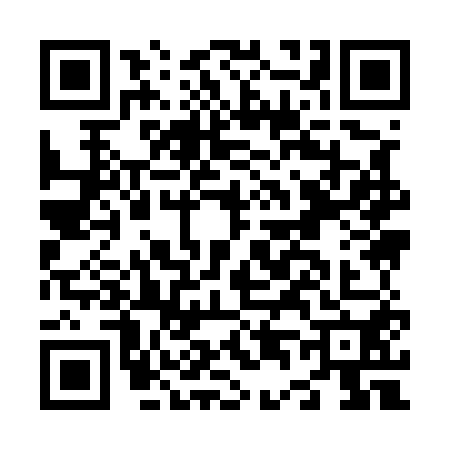 QR code for N495500