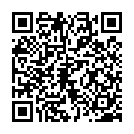 QR code for N495708