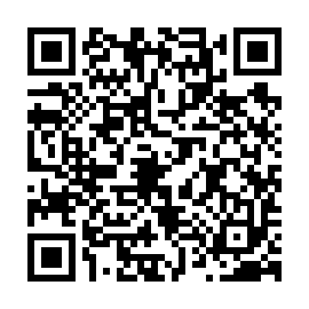 QR code for N496933