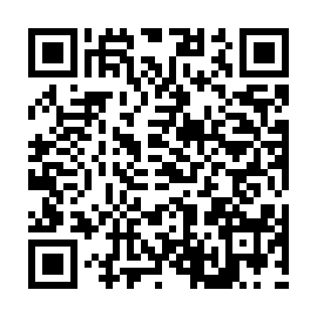 QR code for N497184