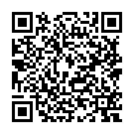 QR code for N498136