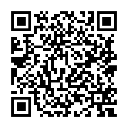 QR code for N498154