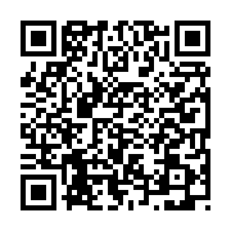 QR code for N498818
