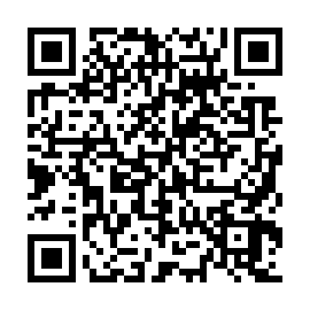 QR code for N517629