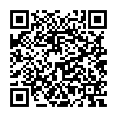 QR code for N528138