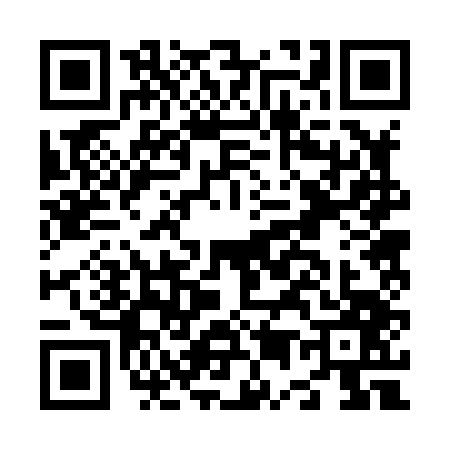 QR code for N528476