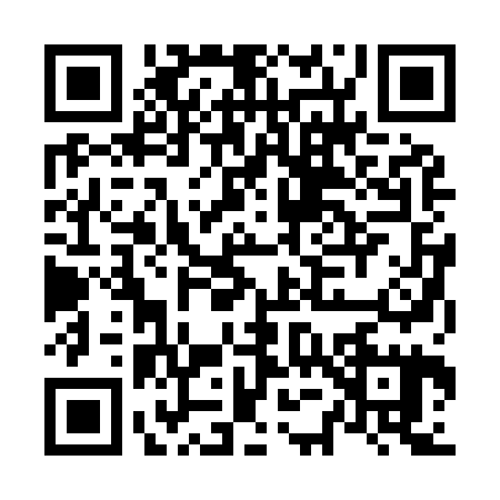 QR code for N529251