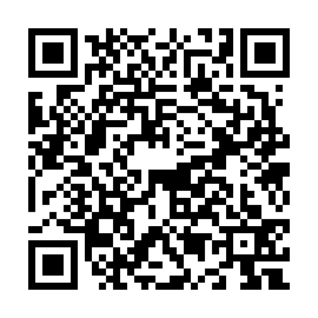 QR code for N536334