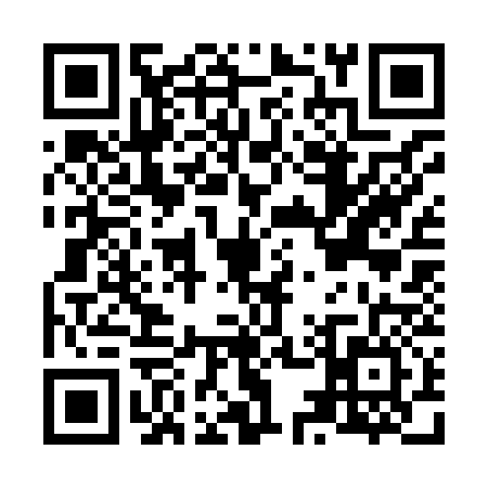 QR code for N538363
