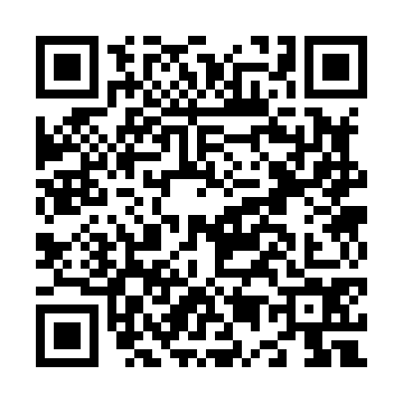 QR code for N538747