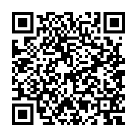 QR code for N541533