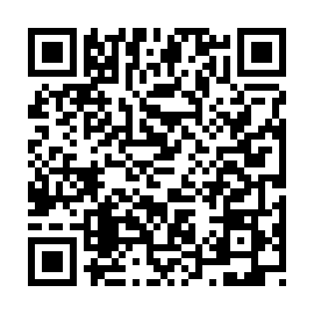 QR code for N542485