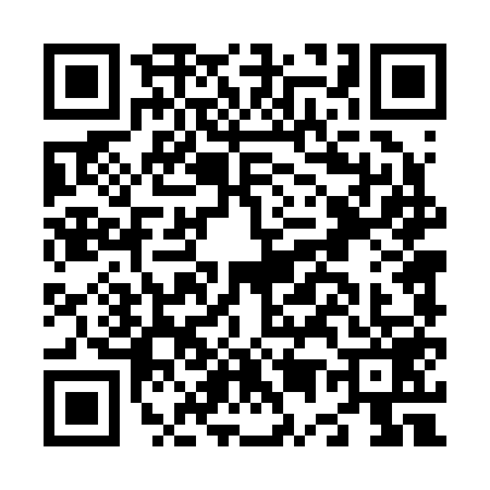 QR code for N542594