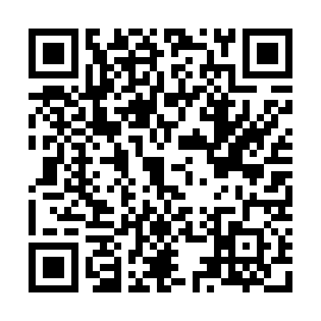 QR code for N546300