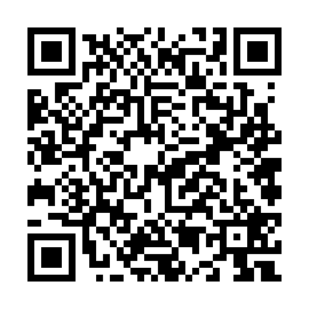 QR code for N563295