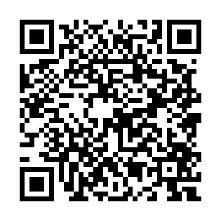 QR code for N585473