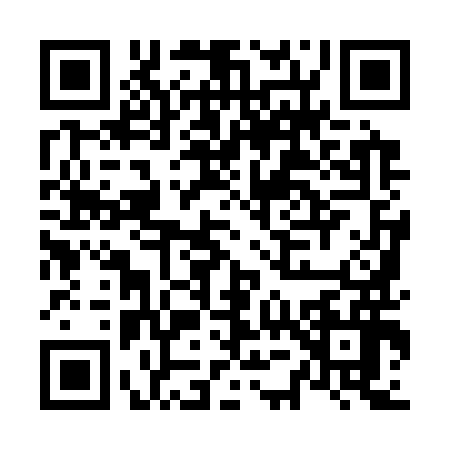 QR code for N593969