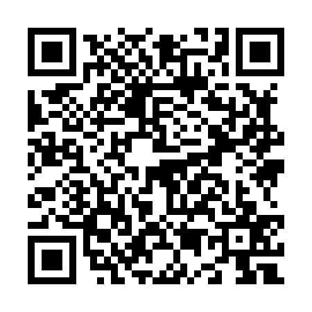 QR code for N598376