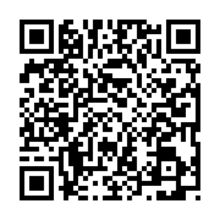 QR code for N599361