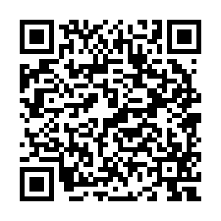 QR code for N602973