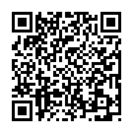 QR code for N616731