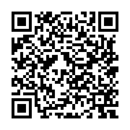 QR code for N618565