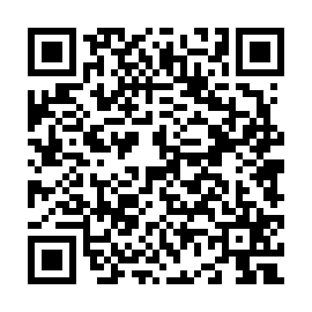 QR code for N646250