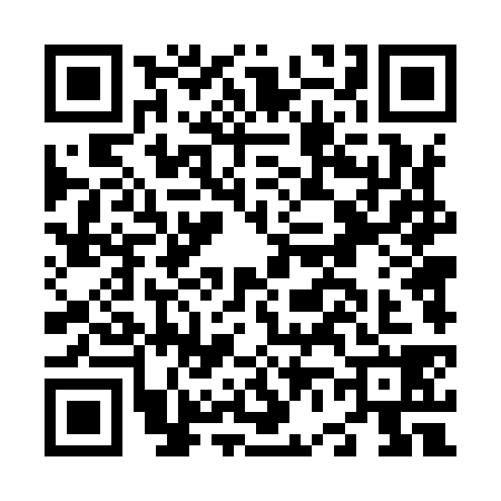 QR code for N649387