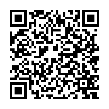 QR code for N651376