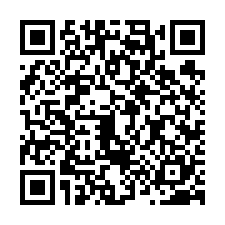 QR code for N666250