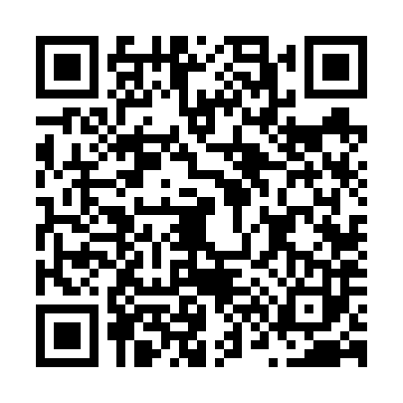 QR code for N666835