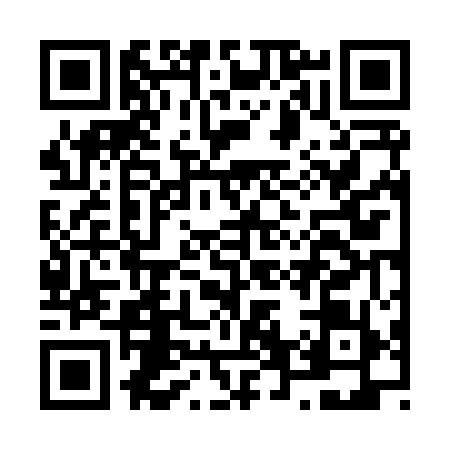 QR code for N668595