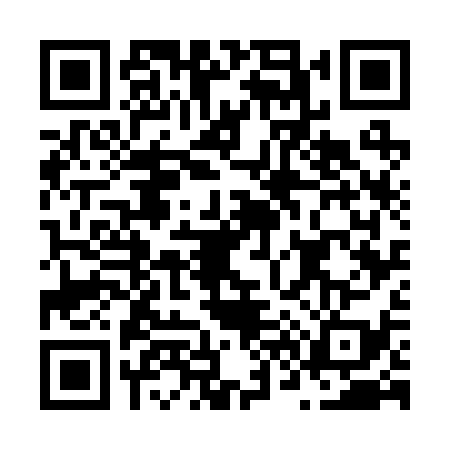 QR code for N672390