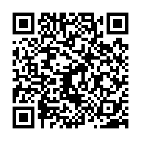 QR code for N677394