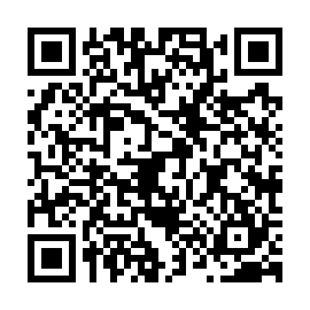 QR code for N687241