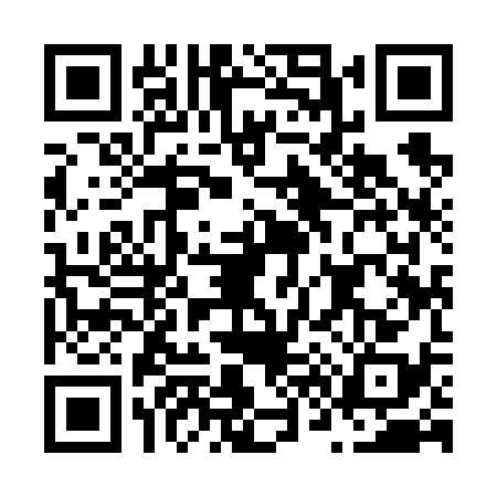 QR code for N696382
