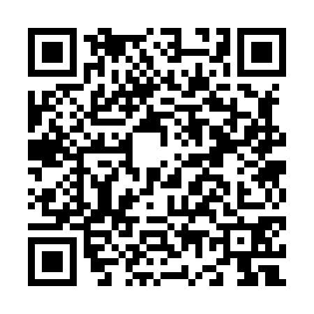 QR code for N738700
