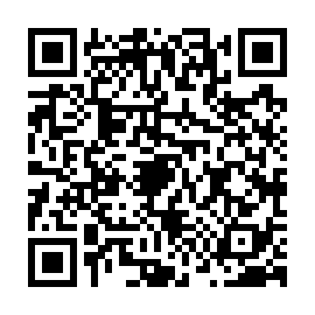 QR code for N787381