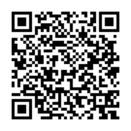 QR code for N810309