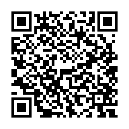 QR code for N823462