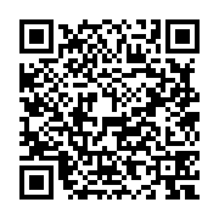 QR code for N838783