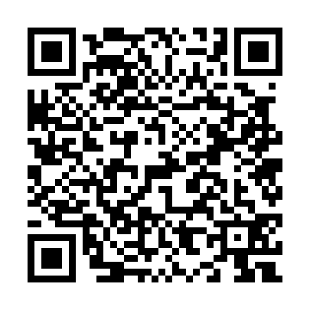 QR code for N870328