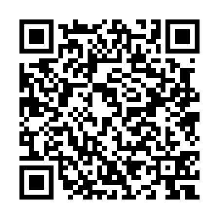 QR code for N900311