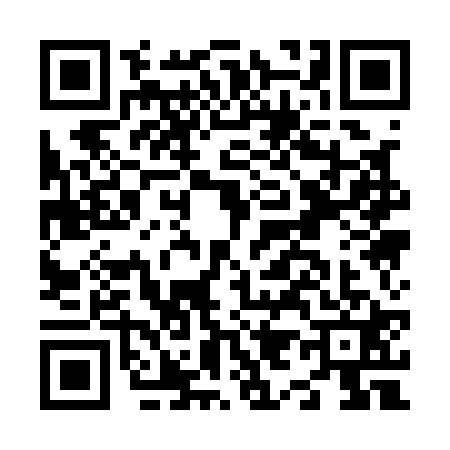 QR code for N911218