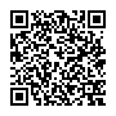 QR code for N913345